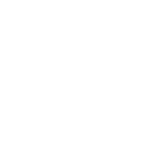  </p>
<p>Challenges in Business Expansion