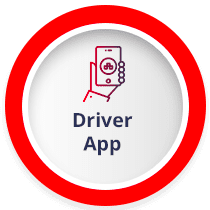 Analytics & Reporting